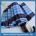 Eco Friendly 2 Fold Auto Open Promotion Gift Umbrellas